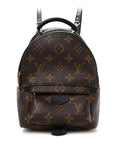 Monogram Palm Springs Backpack Mini