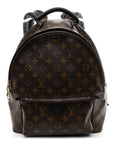 Monogram Palm Springs Backpack MM