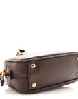 Calfskin Mini Arcadie Top Handle Bag Briarwood