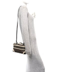 Calfskin Shearling Bang Bang Vanity Case Light Brown Teddy