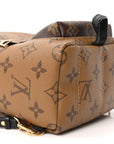 Reverse Monogram Palm Springs Backpack Mini