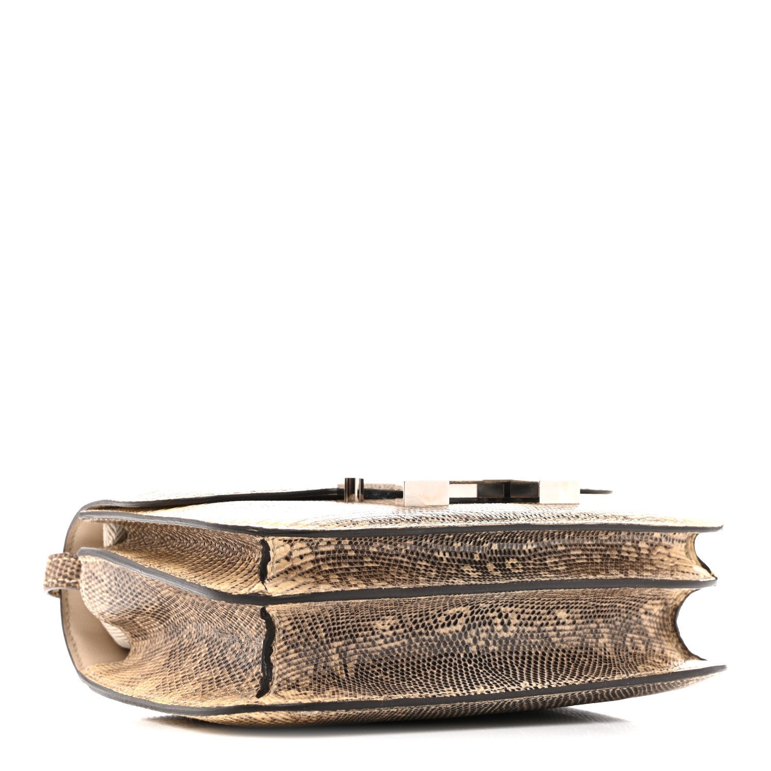 Lizard Constance 18 Ombre