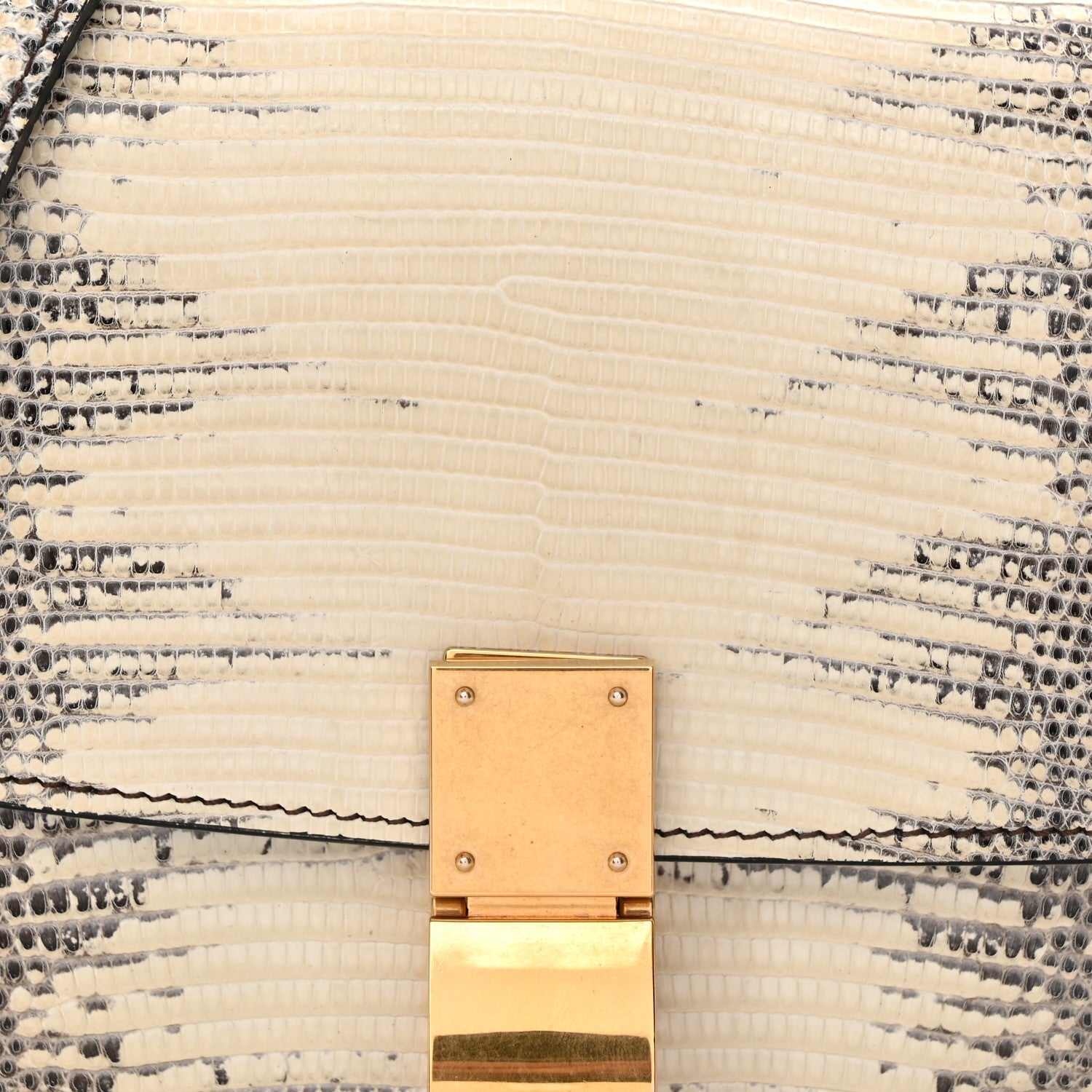 Lizard Small Classic Box Flap Bag Natural