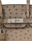 Ostrich Birkin 30 Mousse