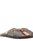 Monogram High Rise Bumbag