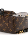 Monogram Palm Springs Backpack Mini