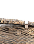 Lizard Constance 18 Ombre